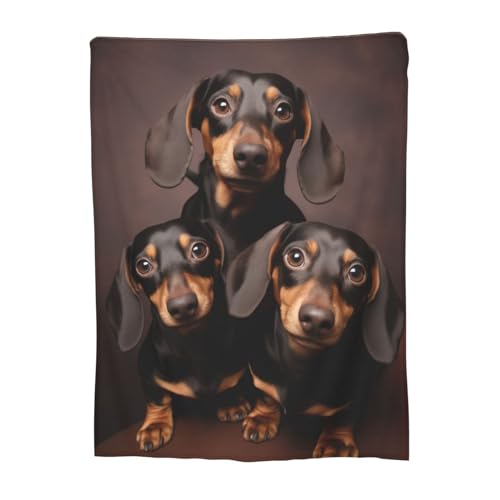 Dachshund Blanket Love Dachshund Soft Warm Flannel Throw Dog Blankets Wiener Dog Blanket Fuzzy Dachshund Gifts for Women Girls Kids Adults Couch Bed Chair Sofa Valentine's Day Decor 50"x 60"