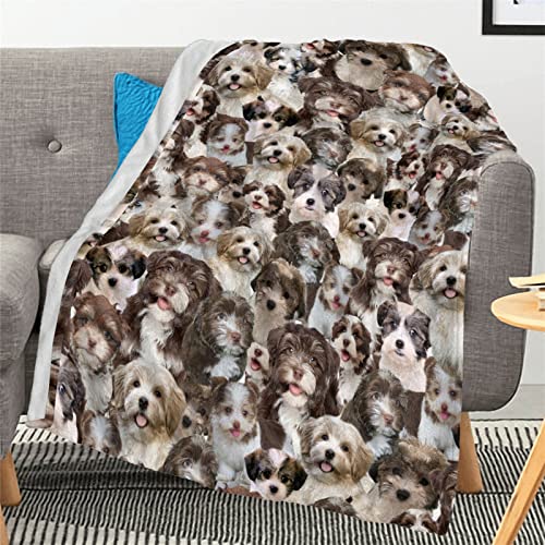 Havanese Dog Gift for Dog Mom, Dog Dad, Pet Dogs Owner - Cute Puppy Blanket for Havanese's Lovers - Super Soft Warm Fleece Throws Blankets for Bed, Sofa, Couch