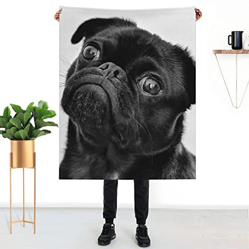 Hcokrzt Throw Blankets Cute Black Pug Dog Blanket Plush Fuzzy Flannel for Kids Boys Men Women Couch Bed Sofa Birthday 50 * 40