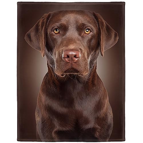 HommomH Chocolate Lab Blanket, Brown Labrador Dog Print, Soft Fluffy Fleece Throw, 50"x80"