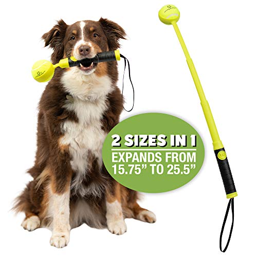 Hyper Pet Telescoping Dog Ball Thrower Launcher, Up To 25.5 Inch Length, Includes 2.5 Inch Ball for Dogs Up To 60 Pounds