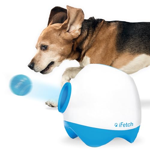 Ball Launcher For Big Dogs