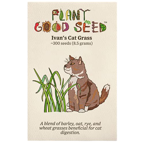 Ivan's Cat Grass Seeds - Pack of 300, Certified Organic, Non-GMO, Open Pollinated, Untreated Seeds for Planting – from USA