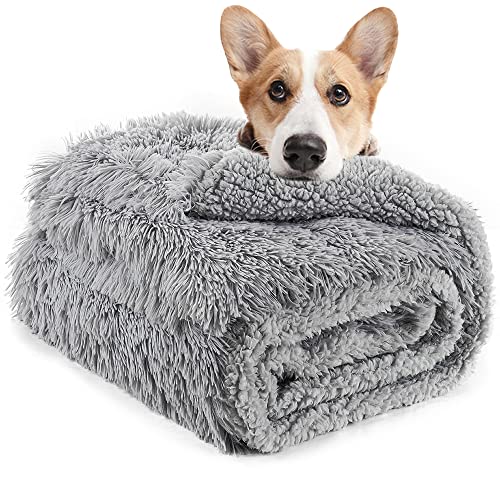 LOCHAS Luxury Fluffy Dog Blanket, Extra Soft and Warm Sherpa Fleece Pet Blankets for Dogs Cats, Plush Furry Faux Fur Puppy Throw Cover, 20''x30'' Gray