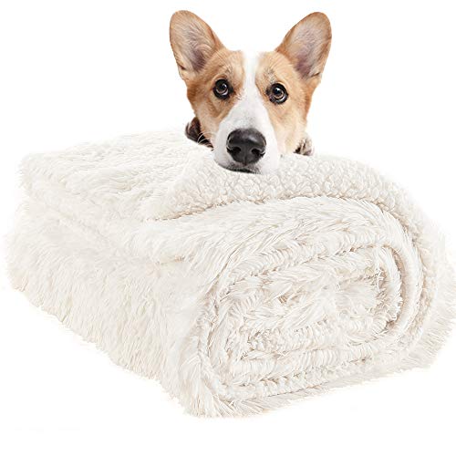 LOCHAS Luxury Fluffy Dog Blanket, Extra Soft and Warm Sherpa Fleece Pet Blankets for Dogs Cats, Plush Furry Faux Fur Puppy Throw Cover, 40''x60'' Cream White