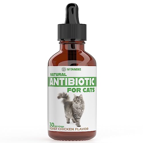 Natural Cat Antibiotic | Antibiotics for Cats | Cat Antibiotics | Antibiotic for Cats | Cat Antibiotics for UTI | Cat UTI | Cat UTI Treatment | Cat UTI Antibiotics | 1 fl oz | Chicken Flavor