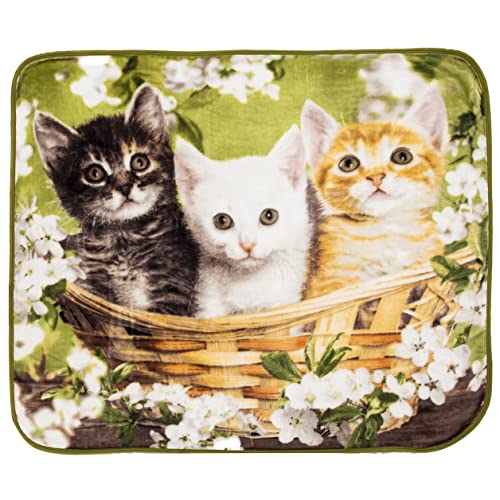 Northwest Basket of Kittens Raschel Throw Blanket, 50" x 60"