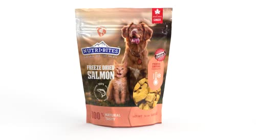 Nutri Bites (Value Pack Freeze Dried Wild Caught Salmon Pets Treats Rich in Protein and Omega-3 Premium Quality Support The Immune System Protect Their Hair and Skin 14 OZ for Dogs and Cats