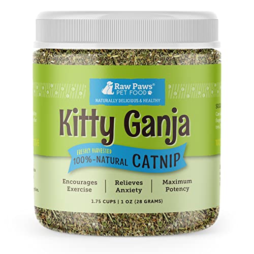 Raw Paws Natural Catnip for Cats, 1-oz - Use for Refillable Catnip Toys for Cats - Catnip Treats for Cats - Catnip for Dogs - Cat Nip Cat Grass - Dog Catnip - Dried Catnip Leaves & Seeds