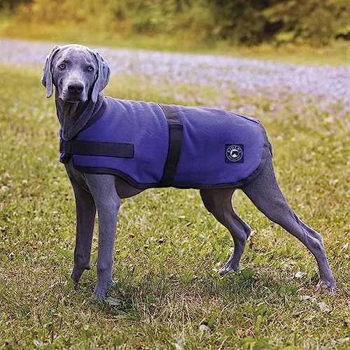 Rider's International by Dover Saddlery Fleece Dog Cooler - Blue - Large