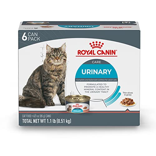 Royal Canin Feline Urinary Care Thin Slices in Gravy Wet Cat Food, 3 oz can (6-pack)