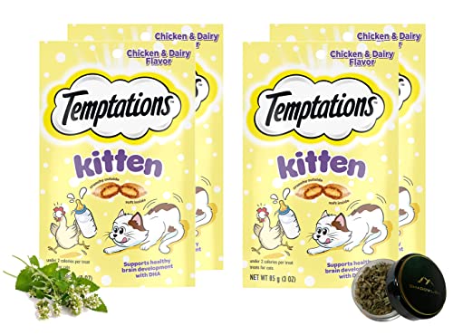 Shadowlish Temptations Kitten Treats Bundle with a Bonus Reusable Container of Catnip (Chicken and Dairy)
