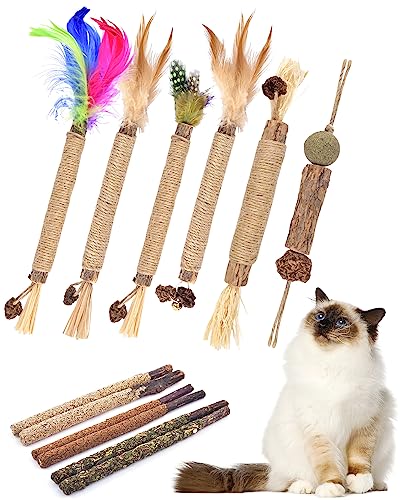 TINDTOP Silvervine Chew Sticks for Cats, 12 Pack Natural Catnip Chew Toys for Kittens Teeth Cleaning, Matatabi Dental Care, Increase Appetite, Calm Cat Anxiety and Stress, Cat Dental Toy