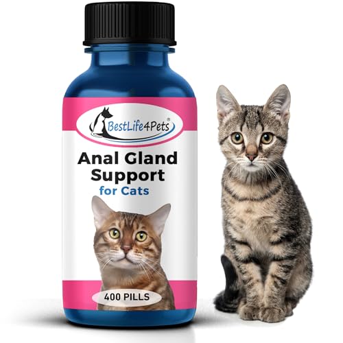 Treat Cat Eye Infection Naturally