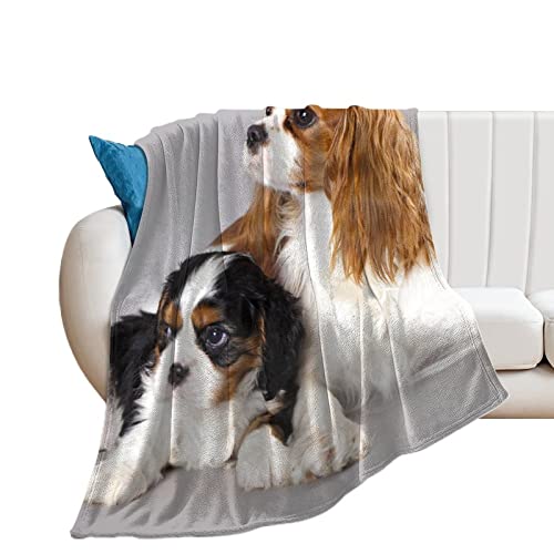 Cavalier King Charles Spaniel, Fleece Blanket Ultra-Soft Cozy Plush Blanket Throw Blankets Couch Chair Living Room Air Conditioning Cool Blankets, 50"*60"