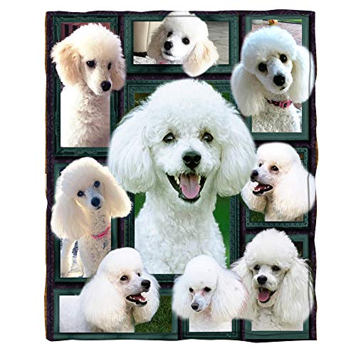 ChriHome 3D Poodle Dog Blanket Cozy Plush Warm Blanket Throws for Travel Camping Sofa Couch Bedding Blanket Soft All Season Home Decor Blankets (60'' x 50'')