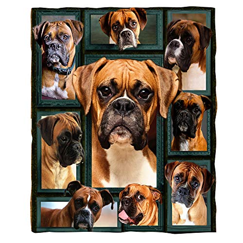 ChriHome Flannel Blanket 3D Boxer Dog Super Soft Bedding Couch Sofa Throw Blanket Plush Cozy Office Nap Air Travelling Portable Warm Blanket (3D Boxer, 60'' x 50'')