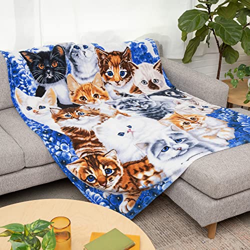 Dawhud Direct Collage Kitten Fleece Blanket for Bed, 50" x 60" Fleece Throw Blanket for Unisex and Kids - Super Soft Plush Cat Blankets for Cat Lovers Cats Print Throws Blankets - Queen Size Blanket