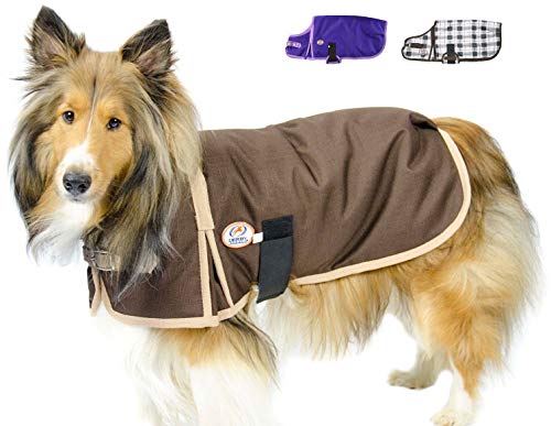 Derby Originals 1200D Winter Dog Coat Horse-Tough Ruff Pup 150G Insulation Nylon Lining 3 Layer Breathable