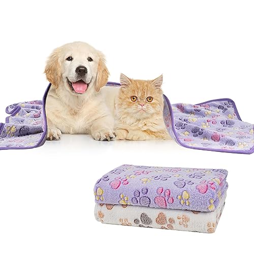 Dono 1 Pack 2 Dog Blankets Soft Fluffy Cute Bone Pattern Fleece Pet Blanket Warm Sleep Mat Cute Print Design Puppy Kitten Blanket Doggy Mat Paw Print for Animals