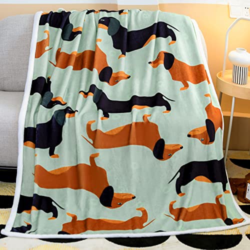 Famitile Dachshund Blanket, Wiener Dogs Throw Blanket, I Love Dachshunds Soft Flannel Dachshund Stuffed Animal Blankets Dachshund Gifts for Women (Dachshund 1, 47" x 60")