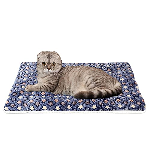 FJWYSANGU Pet Blanket Premium Fluffy Flannel Cushion Soft and Warm Mat for Dogs Cats Small Size Animal Blue Stars