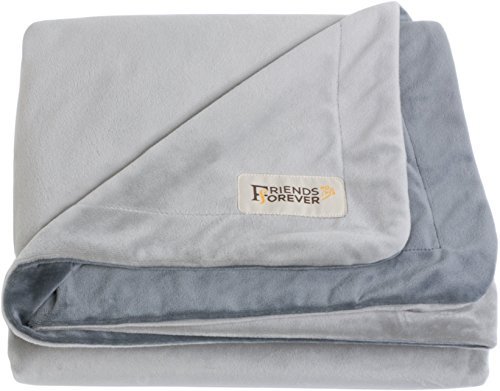 Friends Forever Bailey Durable Dog Blanket for Couch Protection, Two Tone Reversible Pet Hair Resistant Blanket for Dogs Cats Bed Kennel Crate Car Seat - Soft Velvet, Warm Fleece, Large