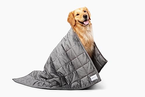 Gravity Premium Original Weighted Dog Blanket, Calming, Relaxation & Anxiety Relief for Pets, Comfortable & Cozy Blanket for Anxious Dogs, Washable, Grey, Large, 47 x 40 in, 6 lbs