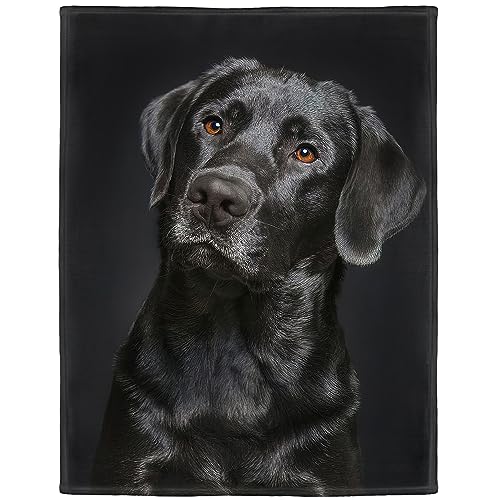 HommomH Black Lab Blanket, Gorgeous Labrador Dog Print, Soft Fluffy Fleece Throw 40"x50"