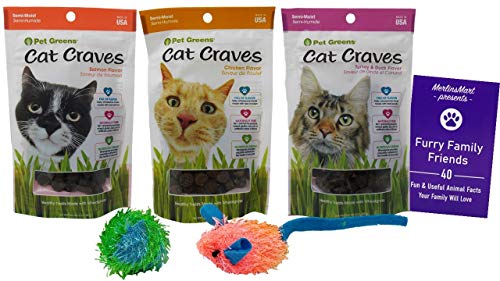 Pet Greens Cat Craves Soft Cat Treats 3 Flavor Variety (1) Each: Salmon, Chicken, Turkey Duck (3 OZ) Plus 2 Catnip Toys and Fun Facts Booklet Bundle