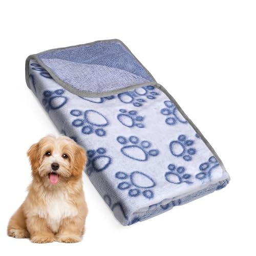 PISPETS Pet Blanket for Dogs and Cats - 32 * 24 Inch Soft Cozy Blanket with Lovely Paw Prints Fit for Sofa Bed and Floor (Blue)