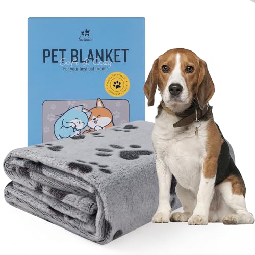 Small Fleece Dog Blankets Gift for Puppy Essential Calming Cat Bed Blanket Medium Dogs Soft Throw Grey(30"x20",Pack of 1)