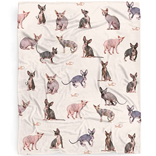 Sphynx Cats Blanket Gift for Boys Girls,Cat Gifts for Cat Lovers Cute Cat Throw Blanket Gifts for Teens Decor Plush Soft Lightweight Flannel Fleece Sphynx Cats Blankets for Sofa Bed Chair 60x50In