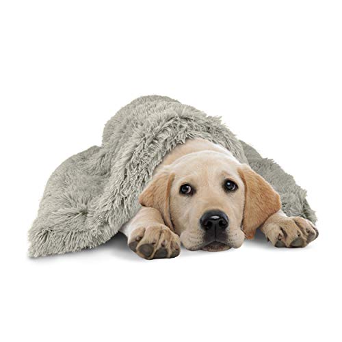 The Dog’s Blanket Sound Sleep Donut Dog Blanket, Large, Calming, Anti-Anxiety Snuggler Blanket, Silver Grey