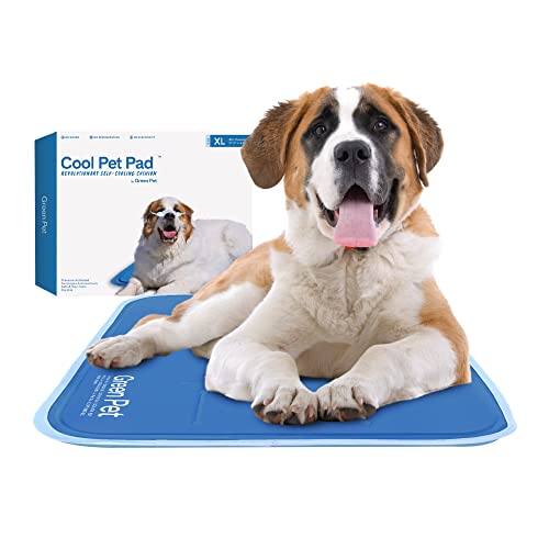 The Green Pet Shop Dog Mat, Extra Large - Pressure Activated Cooling Pad, (80 Plus Lb.) - Non-Toxic Gel, No Water or Electricity Needed for This XL Dog Mat