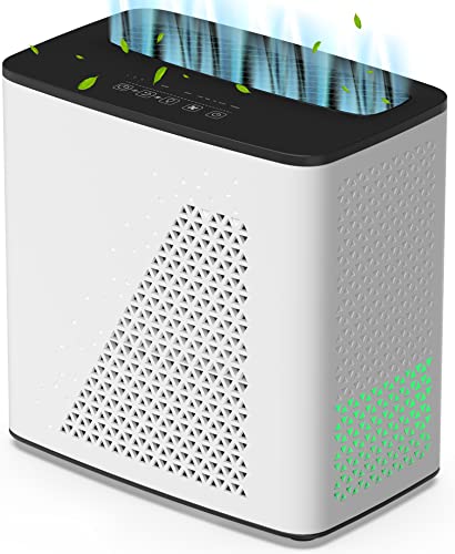 YIOU Air Purifier for Bedroom Home, Large Room Up to 547 Ft², H13 True HEPA Filter for Pets Hair, Wildfires, Smoke, Dander, Pollen, Quiet 20dB Air Cleaner for Office Living Room Kitchen Dorm, White