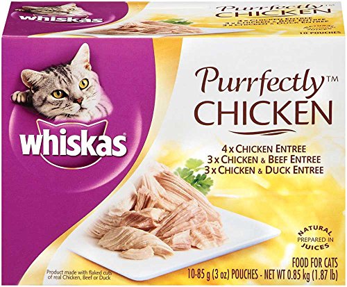 Human Snacks For Cats