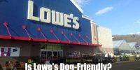 Is Lowe's Dog-Friendly