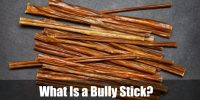 What Is a Bully Stick