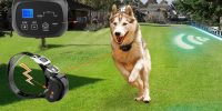 justpet wireless dog fence reviews