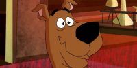 what type of dog is scooby doo