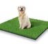 Zone de toilette pour chien dans la cour arrière - StarroaD Tim 393 X 315 Inches Artificial Grass Rug Turf For Dogs InDoor 4 Qgno04gtaffzDreg1oo9ikDwb7mDqxlos6n3ssDjjw